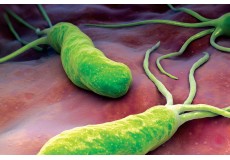 35% попуст на тест за испитување на Helicobacter pylori од ПЗУ "Лукс Медикус" во вредност од 300 ден. по цена од 195 ден.